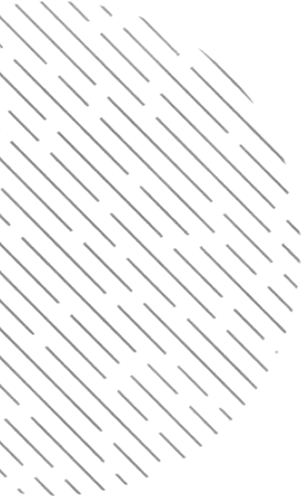 Top Animation studio